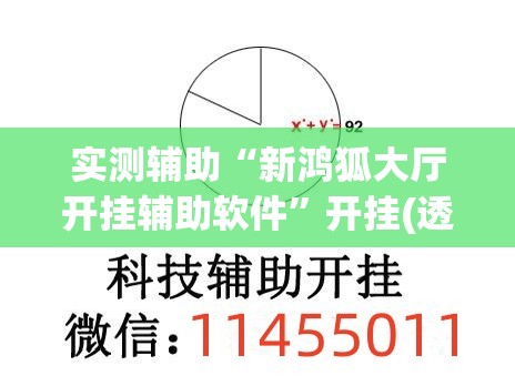实测辅助“新鸿狐大厅开挂辅助软件”开挂(透视)最新辅助详细
