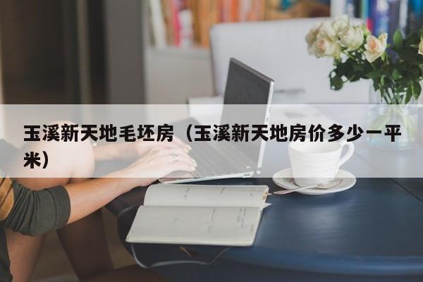 玉溪新天地毛坯房(玉溪新天地房价多少一平米)