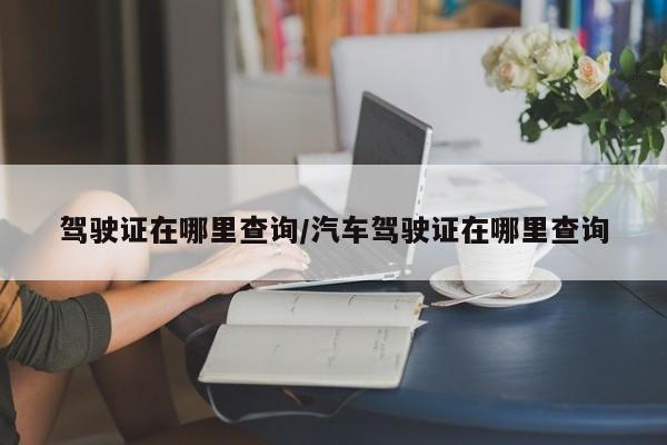 驾驶证在哪里查询/汽车驾驶证在哪里查询
