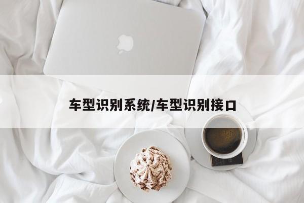 车型识别系统/车型识别接口