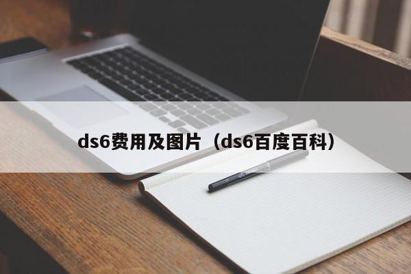 ds6费用及图片(ds6百度百科)