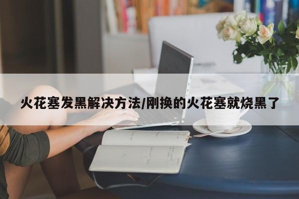 火花塞发黑解决方法/刚换的火花塞就烧黑了