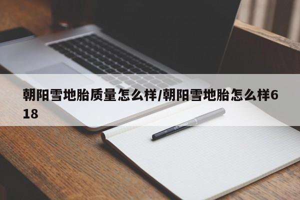 朝阳雪地胎质量怎么样/朝阳雪地胎怎么样618