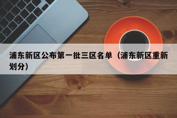 浦东新区公布第一批三区名单(浦东新区重新划分)