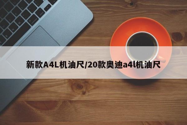 新款A4L机油尺/20款奥迪a4l机油尺