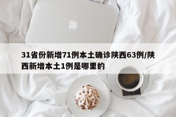 31省份新增71例本土确诊陕西63例/陕西新增本土1例是哪里的