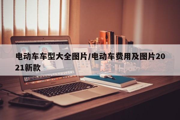 电动车车型大全图片/电动车费用及图片2021新款