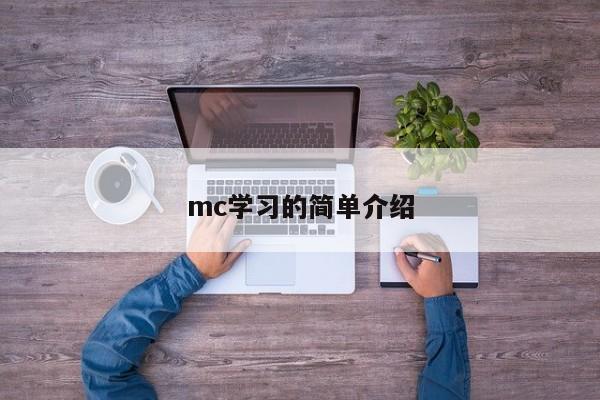mc学习的简单介绍