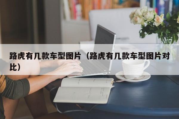 路虎有几款车型图片(路虎有几款车型图片对比)
