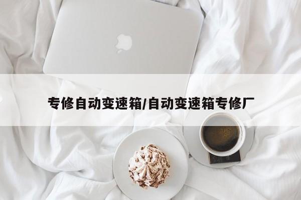 专修自动变速箱/自动变速箱专修厂