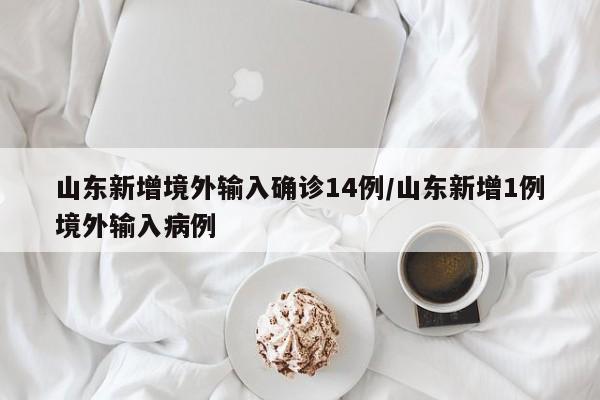 山东新增境外输入确诊14例/山东新增1例境外输入病例