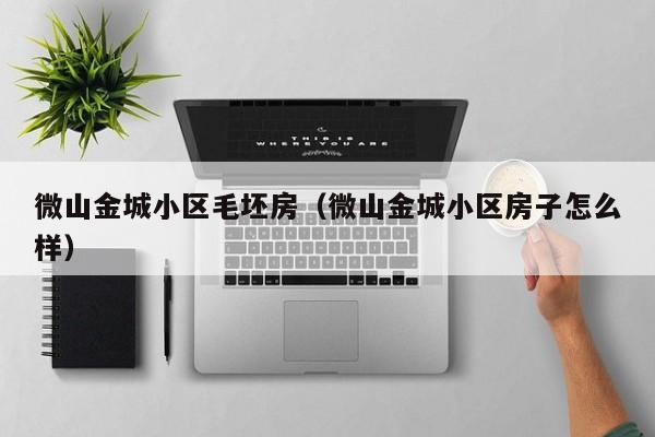 微山金城小区毛坯房(微山金城小区房子怎么样)