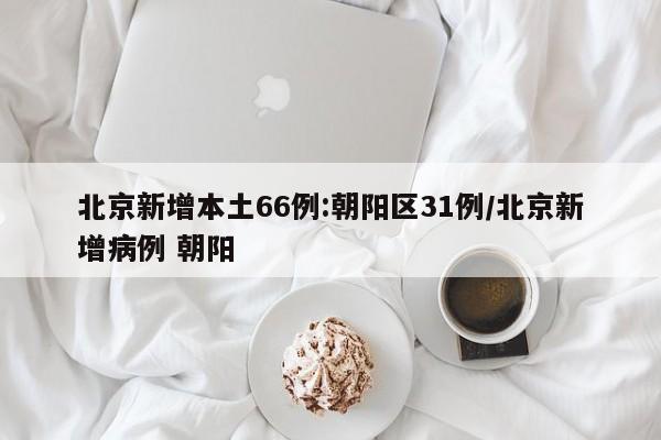 北京新增本土66例:朝阳区31例/北京新增病例 朝阳