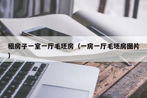租房子一室一厅毛坯房(一房一厅毛坯房图片)