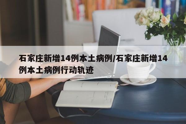 石家庄新增14例本土病例/石家庄新增14例本土病例行动轨迹