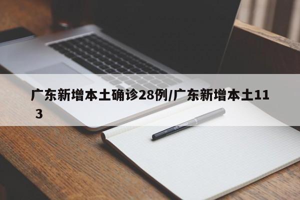 广东新增本土确诊28例/广东新增本土11 3