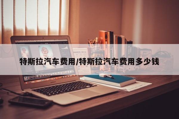 特斯拉汽车费用/特斯拉汽车费用多少钱
