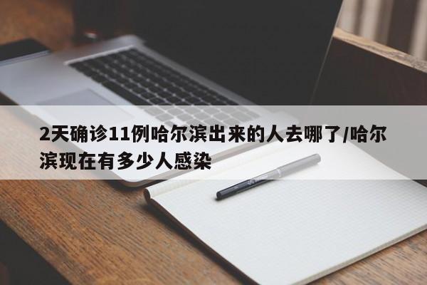 2天确诊11例哈尔滨出来的人去哪了/哈尔滨现在有多少人感染