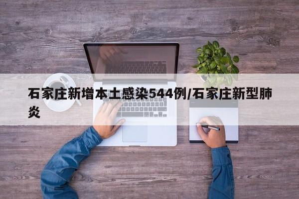 石家庄新增本土感染544例/石家庄新型肺炎