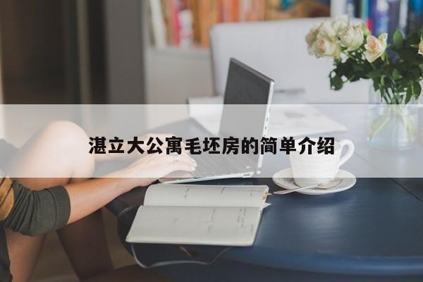 湛立大公寓毛坯房的简单介绍