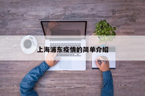 上海浦东疫情的简单介绍