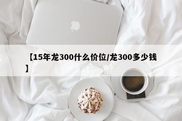 【15年龙300什么价位/龙300多少钱】