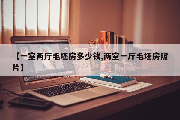 【一室两厅毛坯房多少钱,两室一厅毛坯房照片】