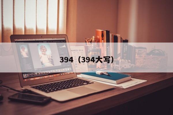 394(394大写)